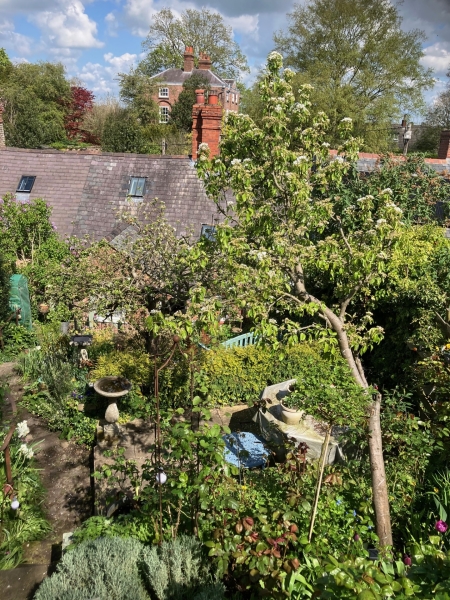 St Mary's Garden Trail